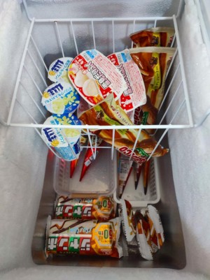 アイス販売用冷凍庫の中