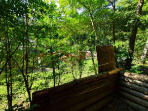 森林エリア中央手前より